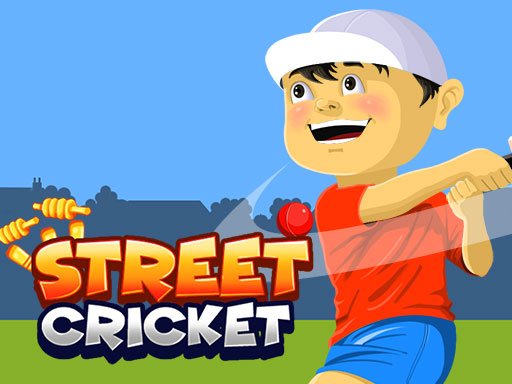 Street Cricket Game